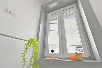 a window with a plant and a glass of wine at Casa do Palácio 16 e 17 in Porto
