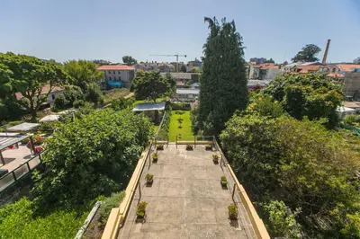 an overhead view of a garden with trees at Cedofeita Back Garden in Porto