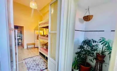 a room with a room with plants in it at aiPorto downtown, family&friends 2! in Porto