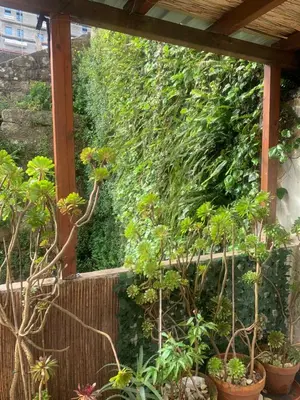a garden with plants in pots on a wall at Apartamento Fontinha in Porto
