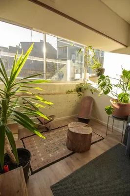 a room with plants and a chair and a window at Amy's Place in Porto