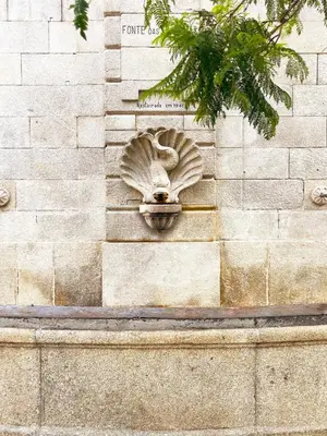 a stone wall with a lion head on it at MariPinto Downtown Apartment in Porto