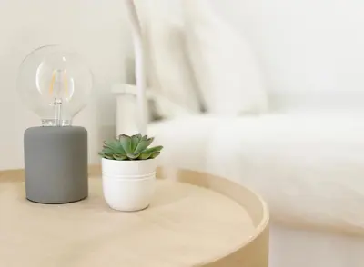 a lamp and a potted plant on a table at MariPinto Downtown Apartment in Porto