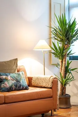 a living room with a couch and a palm tree at Cedofeita Vintage House DA'Home in Porto