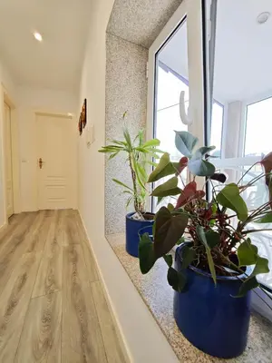 two potted plants sitting on a counter next to a window at Well at Home in Vila Nova de Gaia