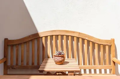 a potted plant sitting on a wooden bench at Garden of Eden - 2 bdrs, elevator, AC and terrace in Porto