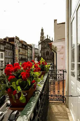 a balcony with pots of flowers on a building at Clerigos View in Porto
