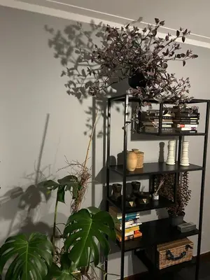 a black book shelf with plants in a room at Douro Exclusive View in Vila Nova de Gaia