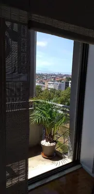 a window with a potted plant on a balcony at Trindade Apartment in Porto