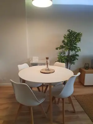 a dining room table with white chairs and a plant at Charming Apartment in the Heart of Historic Porto in Porto