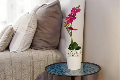 a vase with a flower on a table next to a couch at Luxury Apartment In Cardosas in Porto