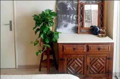a bathroom with a sink and a mirror and a plant at Family&Friends 1 - cosy&central in Porto