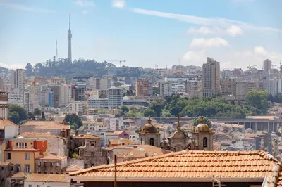 a view of a city with buildings in the background at Clérigos Loft | 111 Collection in Porto