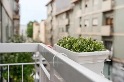 a plant in a white planter on a balcony at GuestReady - An elegant stay in the city centre in Porto