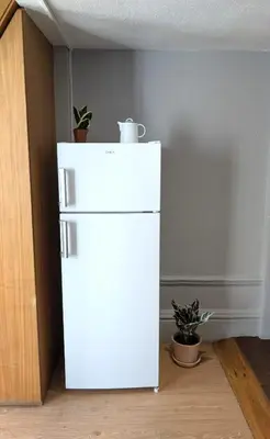 a white refrigerator in a room with two potted plants at Riko Guesthouse in Porto