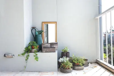 a group of potted plants on a wall with a mirror at KOPKE 113, local & spacious 2Bed in Porto