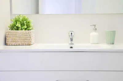 a bathroom sink with a potted plant on it at KOPKE 113, local & spacious 2Bed in Porto