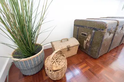two plants and an old trunk and two potted plants at KOPKE 113, local & spacious 2Bed in Porto