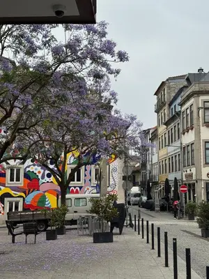 a city street with a tree with purple flowers at Historic Porto Flat I Balcony & Views by MyMoradia in Porto