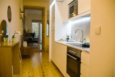 a kitchen with a sink and a stove at Belas Artes Apartments in Porto