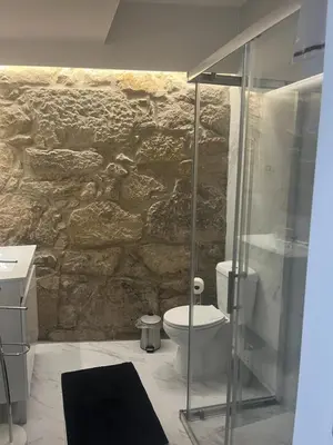 a bathroom with a toilet and a stone wall at Candal house in Vila Nova de Gaia