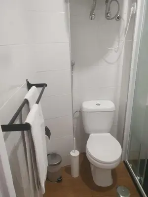 a white bathroom with a toilet and a shower at Ribeira São Nicolau 1 in Porto