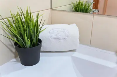 a white towel and a plant on a counter in a bathroom at ON Apartments - Free Parking & Pet Friendly in Porto