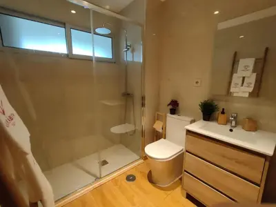a bathroom with a shower and a toilet and a sink at Arrábida Ruby Apartment in Vila Nova de Gaia