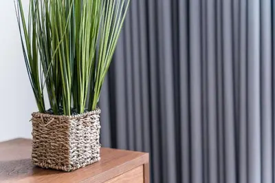 a plant in a vase sitting on a table at Studio-Fast Wi-Fi- AC -5 min Trindade Metro&Clérigos in Porto