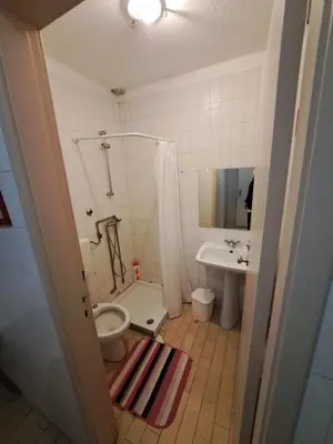 a bathroom with a shower curtain and a toilet at Center Porto Economic Huge Flat in Porto