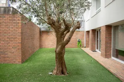 a tree in a yard next to a brick building at Magnolia - Exclusive Garden Apartment in Porto