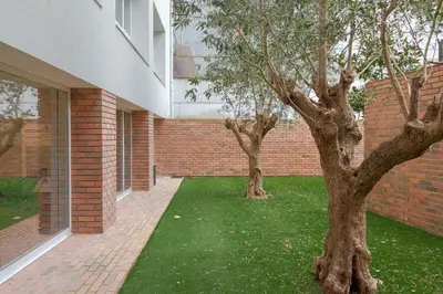 two trees in a yard next to a brick building at Magnolia - Exclusive Garden Apartment in Porto