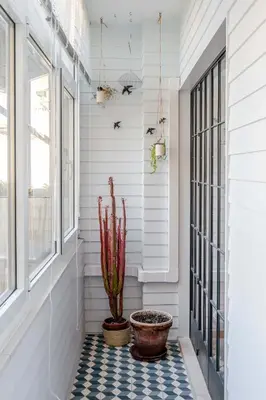 a hallway with a cactus and a potted plant at Light-Filled Cedofeita Apt by HostWise in Porto