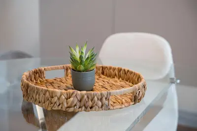a plant in a pot on a table next to a chair at GuestReady - Modern apartment in Boavista in Porto