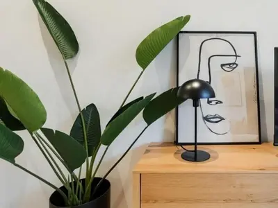 a plant sitting on a desk next to a lamp at Stylish Flat with Balcony, In Central Porto in Porto
