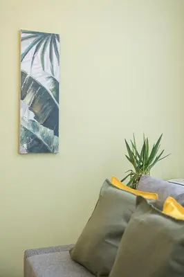 a living room with a couch and a plant at GuestReady - Charming Studio in Porto Centre in Porto