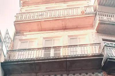 a tall building with a balcony with a dog on it at Historical Porto Apartment in Porto
