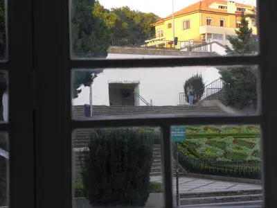 a view of a garden from a window at Carolina M Apartment in front of Metro in Porto