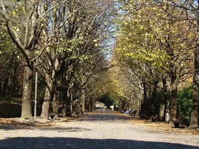 a tree lined path in a park with benches at Porto Covelo Park Apartment in Porto
