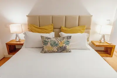 a living room with a couch and a plant at Ribeira Essence by Hosty in Porto