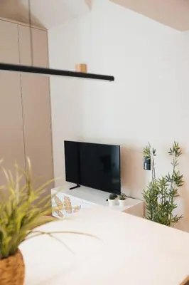 a living room with a tv and some plants at Casa de Santa Catarina by OportoSoul in Porto