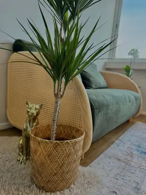 Gallery image of Bolhão Luxe Retreat 1 in Porto