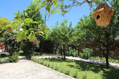 a garden with a bird house hanging from a tree at Hut E, Cabana in Town in Porto