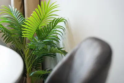 a green plant sitting next to a wall at GuestReady - Charming cosy home in Porto