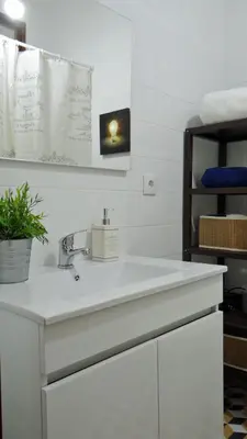 a white bathroom with a sink and a plant at Design Apartment Porto Downtown in Porto