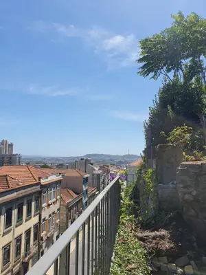 auliculiculiculiculiculiculiculiculiculiculiculiculiculiculic at Porto Alegria Garden in Porto
