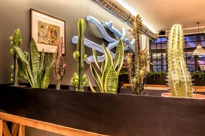 a bunch of cactuses in a pot on a table at Nice Way Porto Hostel in Porto