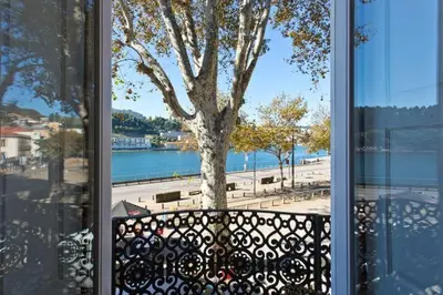 a view of a tree from a window at Porto Douro River Guest House in Porto