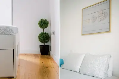 a living room with a couch and a potted plant at PortoVivo Bonjardim Apartamento in Porto
