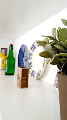 a shelf with blue and white plates and a plant at Flowers Center in Porto